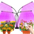 Grow Light,4 Head Grow Lights for Indoor Plants with Red Blue Spectrum, 4/8/12H Timer, 10 Dimmable Brightness for Indoor Succulent Plants Growth, 3 Switch Modes, Adjustable Gooseneck