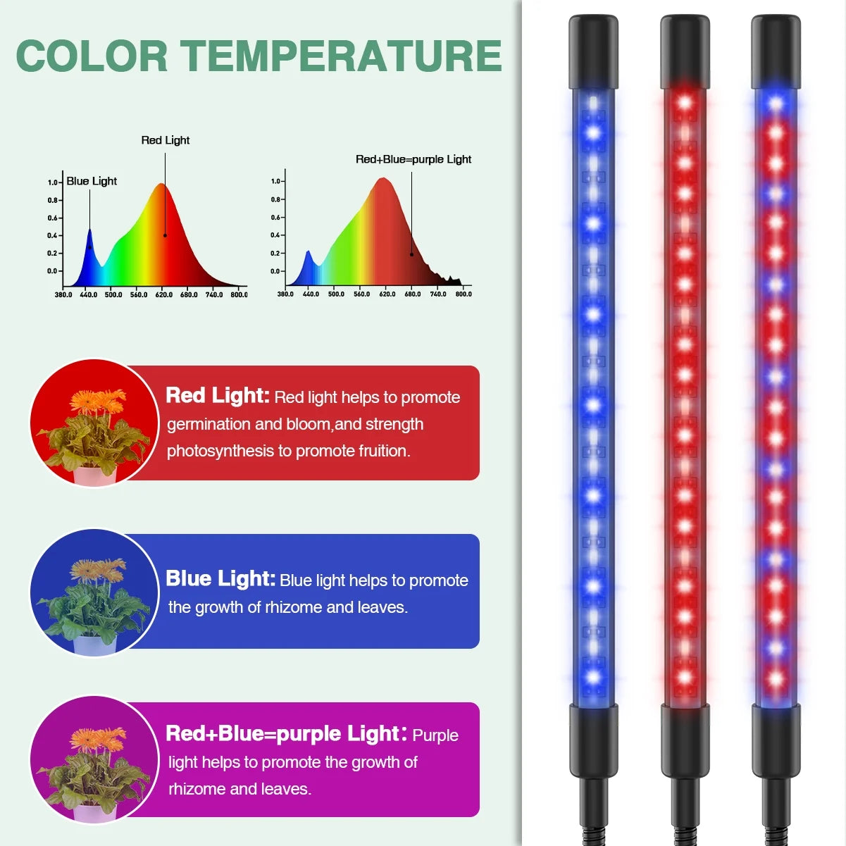 Grow Light,4 Head Grow Lights for Indoor Plants with Red Blue Spectrum, 4/8/12H Timer, 10 Dimmable Brightness for Indoor Succulent Plants Growth, 3 Switch Modes, Adjustable Gooseneck