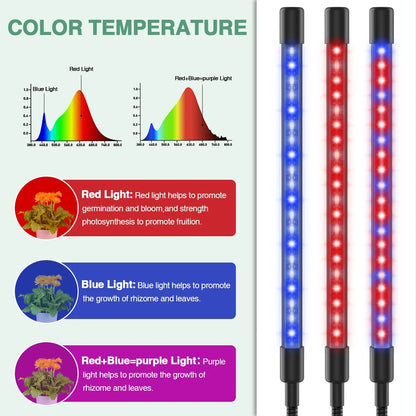 Grow Light,4 Head Grow Lights for Indoor Plants with Red Blue Spectrum, 4/8/12H Timer, 10 Dimmable Brightness for Indoor Succulent Plants Growth, 3 Switch Modes, Adjustable Gooseneck