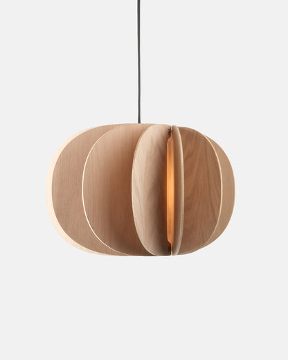 Fin I Pendant Light