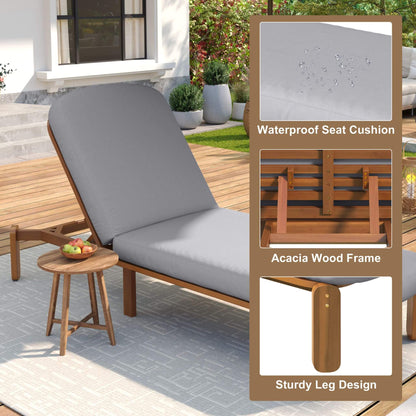 Adjustable Outdoor Chaise Lounge With Reclining Backrest (SAK04689)