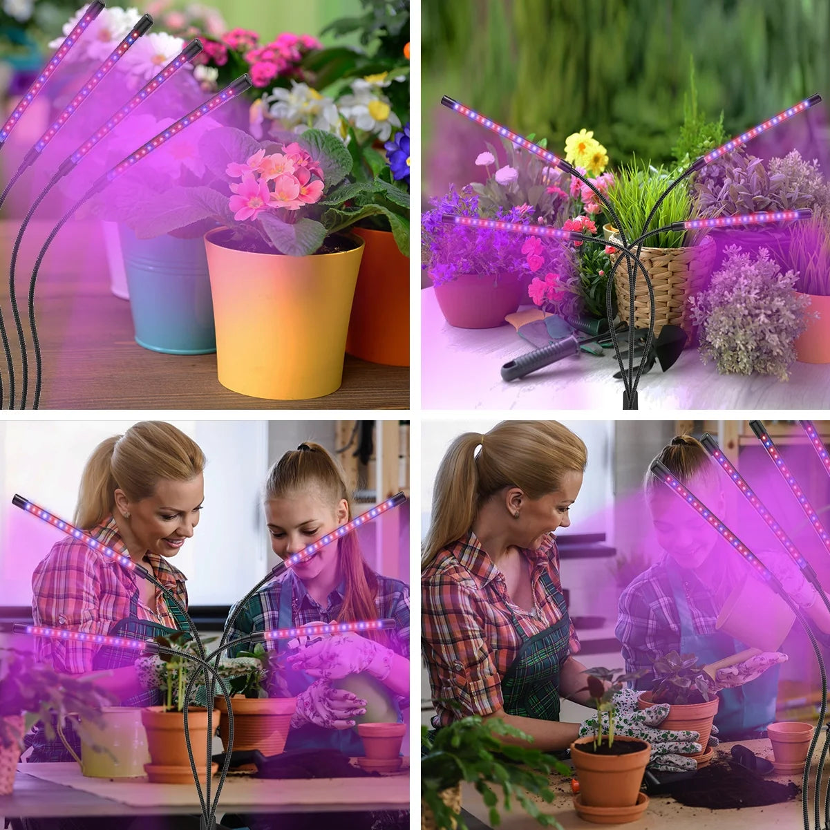Grow Light,4 Head Grow Lights for Indoor Plants with Red Blue Spectrum, 4/8/12H Timer, 10 Dimmable Brightness for Indoor Succulent Plants Growth, 3 Switch Modes, Adjustable Gooseneck