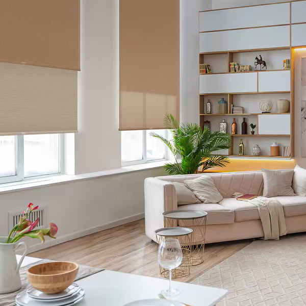 Modern Light-Filtering Roller Shades